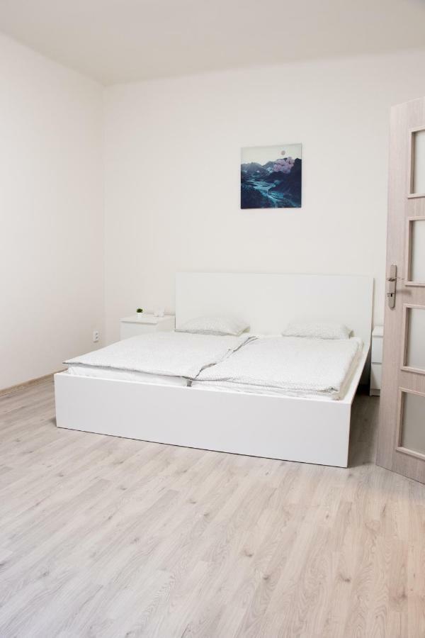 Delnicka 61 Apartman Praga